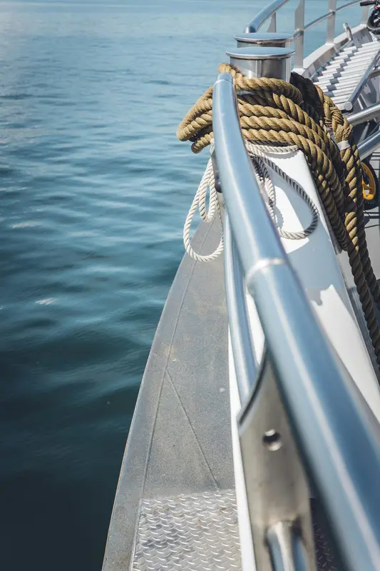 Sturdy.Boats Premium Domain